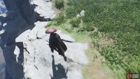 The path that leads to Sibling Rocks in the game