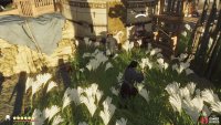 When freed, the Straw Hats will follow you around and fight with you