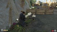 Make sure you revive them should they go down