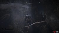 You’ll need to jump to the branch jutting out of the rock to reach the other side of the cavern.