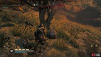 Carry Hunwald to the nearby house.