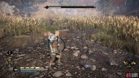 You’ll see the charge attack coming as soon as you see a red rune aura when the boar runs away from you.
