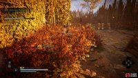 You’ll need to sneak into the bushes and assassinate Hildiran when the guards aren’t looking, or when they’re sleeping after using Thorn of Slumber.