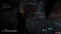The rats may be difficult to see in the dark at times, but you can look for their glowing eyes.