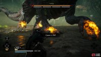 You’ll need to hit the weak points on Nidhogg’s feet to inflict damage to the white bars under his main health bar.