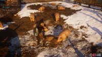 You’ll find the key to the cellar in the pig pen outside the house.