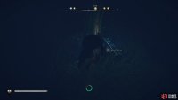 You’ll find the chest deep at the bottom of the water between the southern and eastern islands.