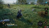 You can kill numerous lynx on this island to obtain their paws.
