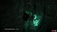 You’ll need to look for this crack in the northeast wall to access the area where the merchant Dar resides.