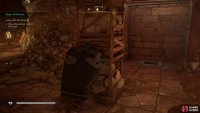 Chase the rats into the sewer grate and then cover it with the barricade.