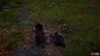 Follow Petra as she points out clues to the whereabouts of the wolves.