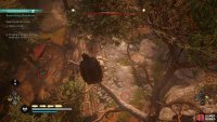 Use Odin’s Sight to highlight the location of cargo within the outpost.