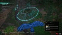 Use your raven to scout the warriors waiting to ambush the Saxons soldiers.