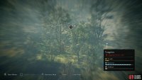 You can use your raven to scout the area for leather, which usually indicates the presence of wolves.
