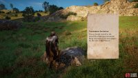 Be sure to read the note on the rock near the upturned cart.