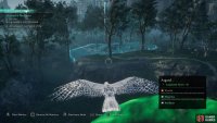 Use your raven to scout the area to the north where the Jotnar patrol.