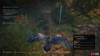 Use your raven to find Sigurd and Basim at the docks if necessary.