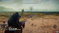 You can shoot the seals on the beach located north of the altar.