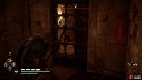 Shoot the fire pot on the other side of the iron bars to destroy the lock to the door.