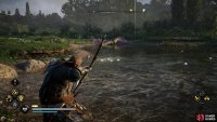 You can shoot the turtles to kill them, and then loot the corpse to find a small, regular, or big turtle.