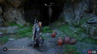 If you don’t have the Incendiary Powder Trap ability, you can take a fire pot from the southern entrance.