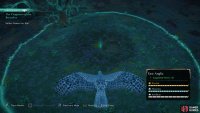 Use your raven to identify the location of the flowers.