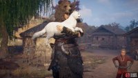 Once you catch Nali the cat