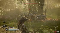 watch out for the werewolves and druidic enemies though!