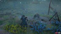 The Seer is found down by the blood stone in the field