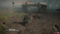The black wolf is the deadliest - keep an eye out for his lunges!