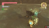 Use the Gust Bellows to stop Moldarach from hiding.