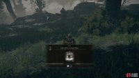 West of the Minor Erdtree you can find a scarab, which you can kill to obtain the Ash of War: Ground Slam.