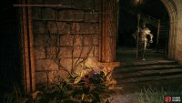 Wait for a Banished Knight in a tower to leave himself vulnerable.