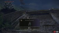 Defeat it to obtain the Blue-Feathered Branchsword.