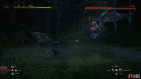 She performs a quick dash, then a diagonal melee attack.