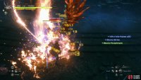 Defeat an Akashic Champion,