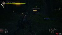 to find the Black Shields.