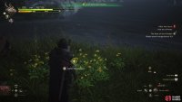 before picking up the Morganbeards