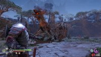 You can attack the neck during its fire attacks