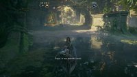The first Poison Totem will be on the left side when you first arrive