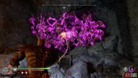 To the left of the Nornir Chest, burn away some bramble,