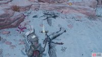 You’ll see the Vulture’s Gold map next to some dead Dark Elves.