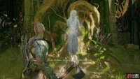 Talk to a spirit to start the favor “Garden for the Dead”,