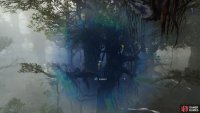 The Canopy Roots are hanging from upper branches of trees.