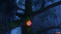 The moss will be growing on the sides of the trees on the floating islands.
