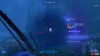 You’ll be able to tell the rarity by using your Na’vi Sense.