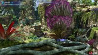 The first Gateway Lily can be found on the highest ledge here