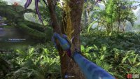 You’ll want to pull the Night Leaf Branch to the left for superior quality.