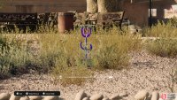 Take a picture of the “Cactus Flower” collectible to obtain it.
