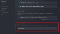 In the General tab of Properties, look at the bottom for the Launch Options and add the command there.